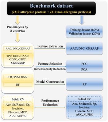 Computational prediction of allergenic proteins based on multi-feature fusion